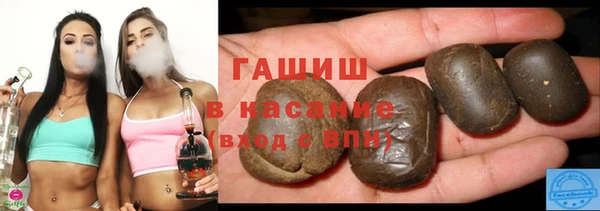 амф Гусев